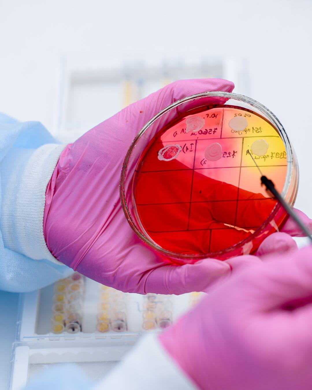 ernährungscoaching mit nadine