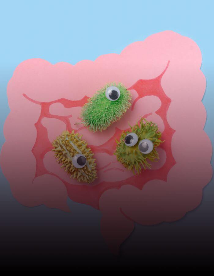 blog nadine camenzind