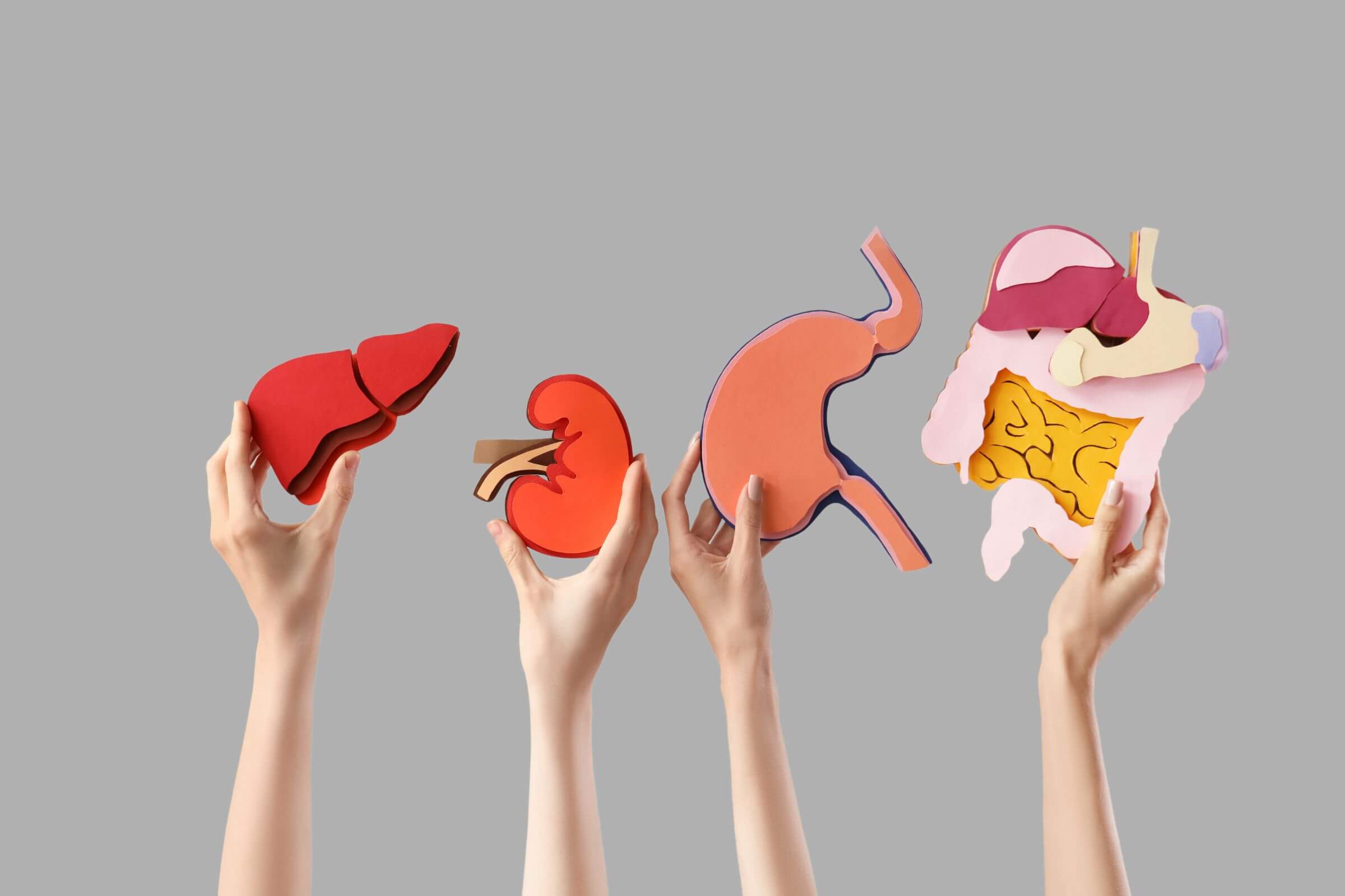 magenbypass darmtherapie