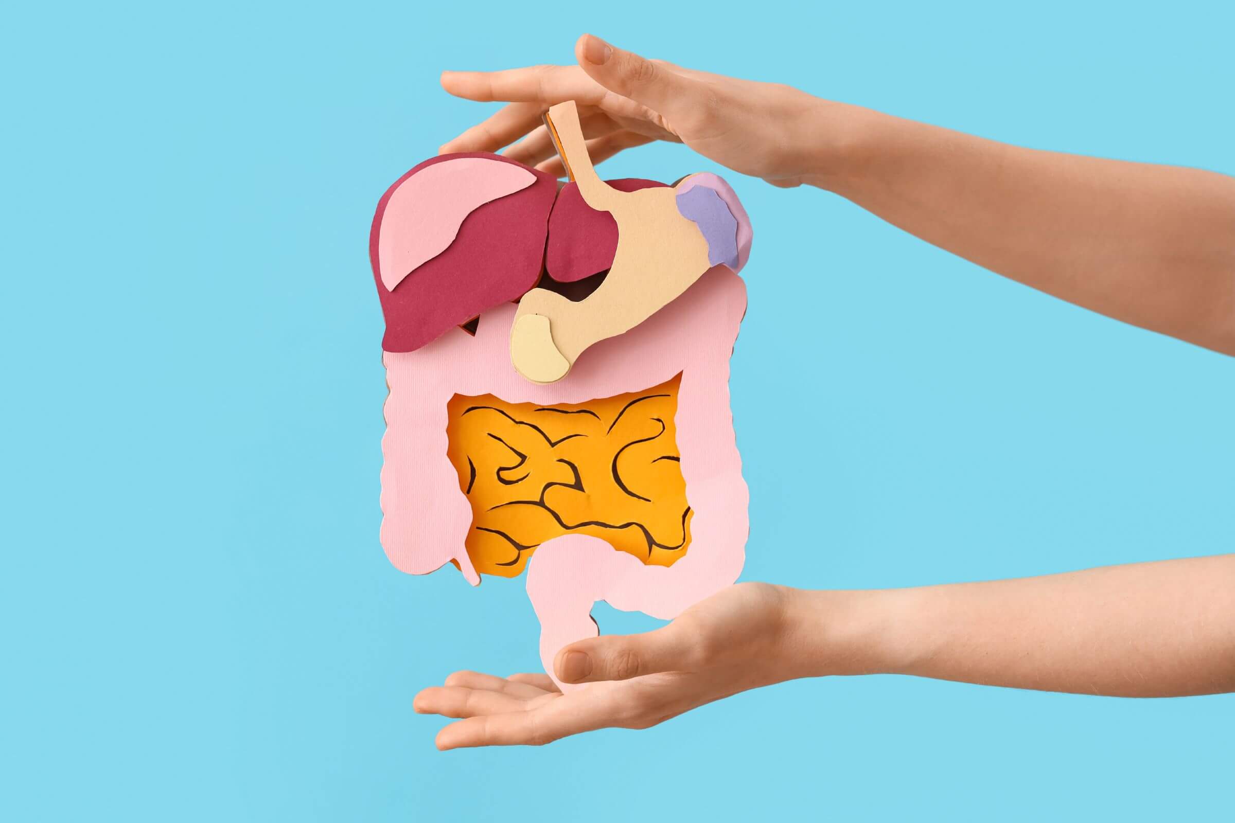 magenbypass darmtherapie